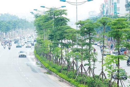 Tổng cục Môi trường công bố kết quả quan trắc chất lượng môi trường không khí khu vực phía Bắc