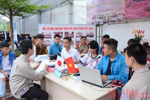 Thanh niên Việt Nam có thể mất 370 nghìn việc làm vì Covid-19