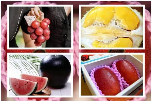 5 loại quả đắt nhất thế giới, ăn một miếng 'bay' ngay tiền triệu