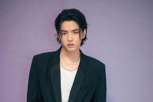 Style phi giới tính của Ngô Diệc Phàm