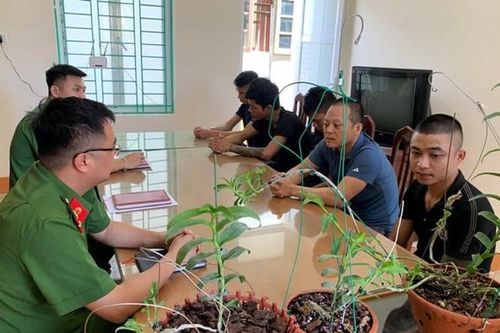 Thổi giá, rửa tiền từ việc mua bán hoa lan tiền tỷ