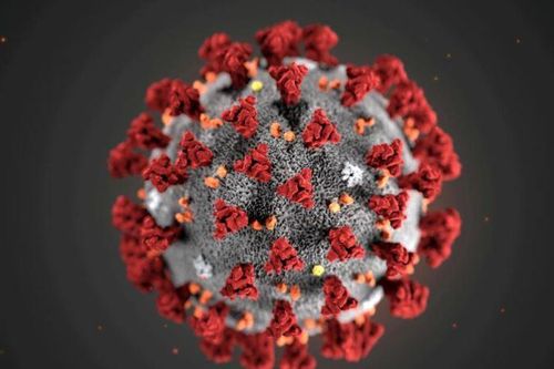 Chuyên gia cho biết đột biến virus corona lây nhiễm nhiều hơn có thể là 'một điều tốt'