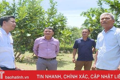 Sớm chuyển đổi đất rừng để người dân vùng tái định cư thủy lợi Ngàn Trươi 'lạc nghiệp'!