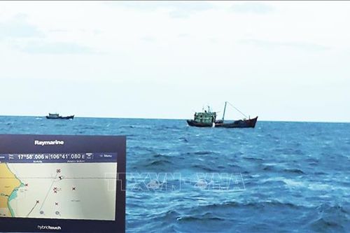 Quảng Bình xử lý hai tàu cá đánh bắt sai tuyến