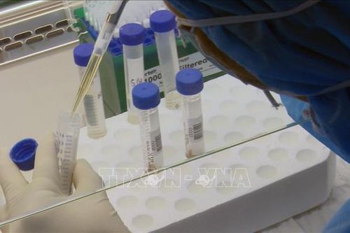 Phú Yên nâng cao năng lực xét nghiệm SARS-CoV-2