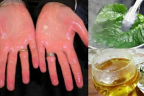 Ngâm chân tay bằng lá lốt giúp 'đánh bay' nhiều bệnh nguy hiểm, cơ thể khỏe thêm mỗi ngày