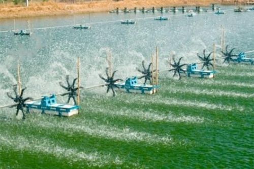 Chú trọng phát triển nông nghiệp công nghệ cao