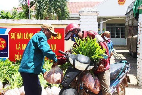 Khánh Sơn: 90 hộ được hỗ trợ trồng rừng sản xuất