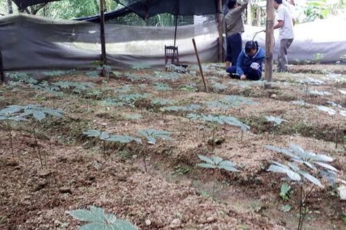 Giúp thanh niên huyện nghèo khởi nghiệp