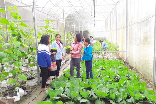 Bài 2: Những mô hình trường học tạo 'thương hiệu' cho giáo dục Lào Cai