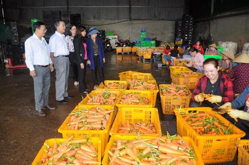 Mô hình Dân vận khéo trong nông nghiệp ở Đức Trọng