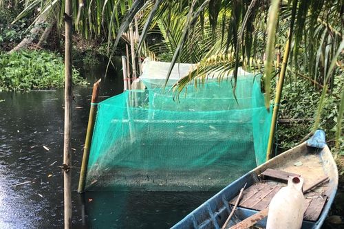 Sông Cái Lớn ở Hậu Giang bốc mùi hôi thối, nước đen ngòm