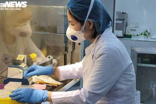 TP.HCM mở rộng đối tượng khai báo y tế bắt buộc