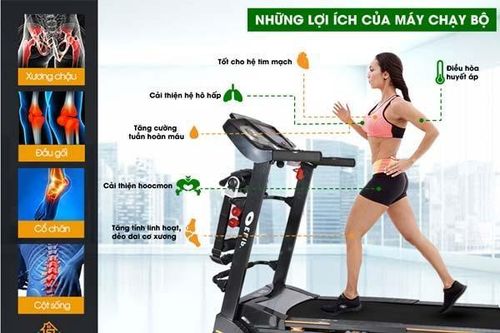 Top 3 máy chạy bộ điện chất lượng có giá thành hợp lý