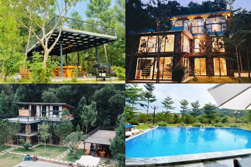 Tha hồ 'sống ảo' ở villa nhà kính giữa rừng thông cách trung tâm Hà Nội 1 tiếng chạy xe!