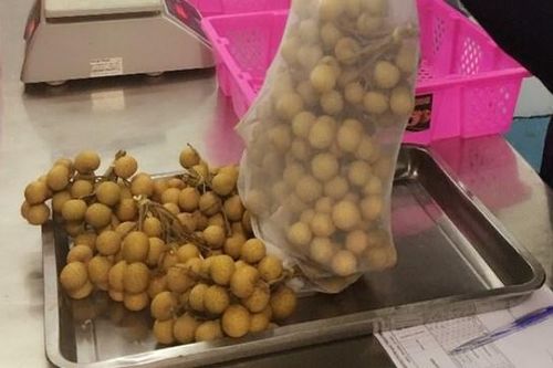 Tìm kiếm thị trường mới cho trái cây