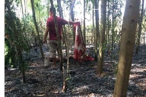 Dập cháy rừng, phát hiện thi thể người đàn ông 78 tuổi