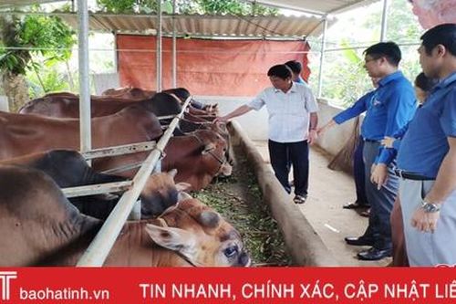 Hỗ trợ thanh niên Hà Tĩnh phát triển kinh tế trong mùa dịch