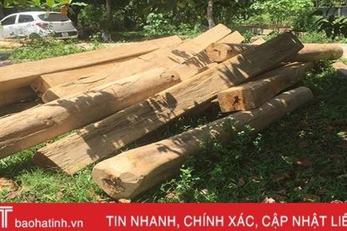 Phát hiện nhiều thanh gỗ xẻ, gỗ tròn tập kết trái quy định trên địa bàn xã Hương Lâm