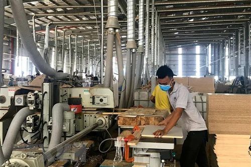 Hướng dẫn để doanh nghiệp hưởng ưu đãi thuế quan từ EVFTA