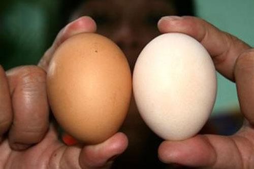 Cách đơn giản giúp chọn trứng gà sạch, an toàn, không lo bị tẩy trắng