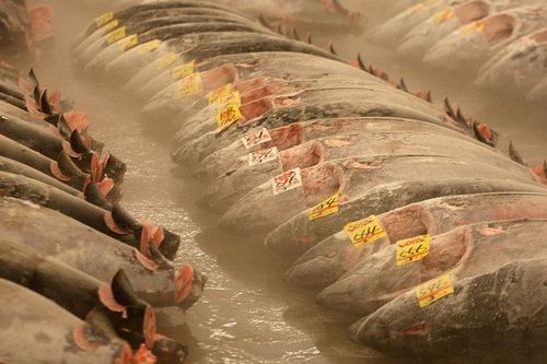 Người Nhật vẫn vô tư ăn đồ sống không lo giun sán nhờ 4 mẹo cực đơn giản này