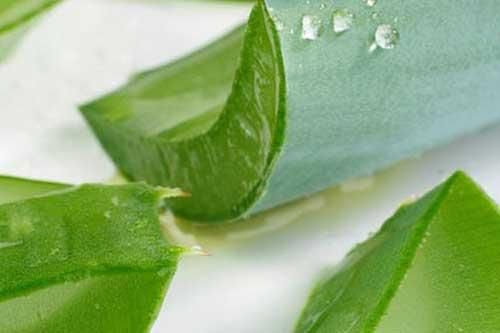 Mẹo chữa đau dạ dày nhanh nhất mà không tốn tiền
