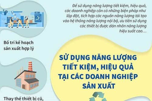 Việt Nam - Đan Mạch hợp tác thúc đẩy sử dụng năng lượng tiết kiệm, hiệu quả