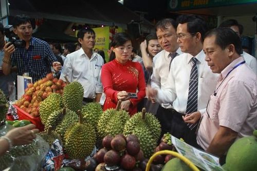 Phát triển thương mại miền núi, hải đảo và những kết quả đạt được