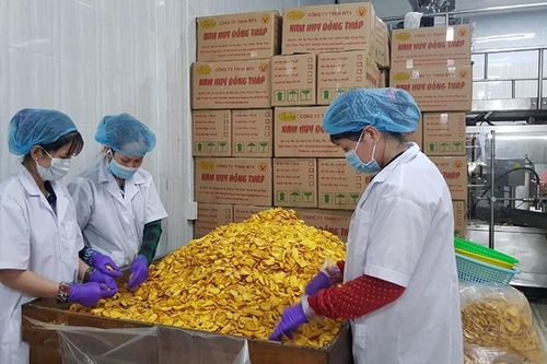 Khuyến công Đồng Tháp thúc đẩy phát triển sản xuất công nghiệp nông thôn