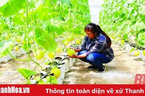 Nông nghiệp chuyển mình