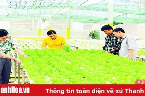 Đẩy mạnh phát triển hệ thống phân phối thực phẩm an toàn
