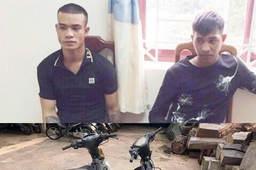 Gia Lai: Triệt phá nhóm 'đạo chích' chuyên nghiệp