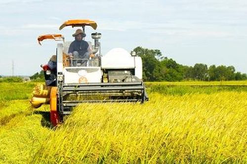Từ nạn đói năm 1945 đến vấn đề đảm bảo an ninh lương thực