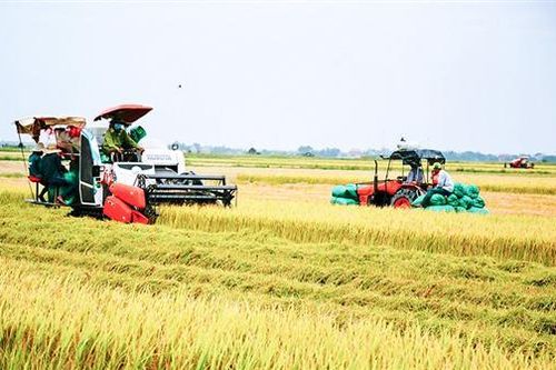 Phát huy những thành tựu đạt được, tạo tiền đề phát triển cho thời kỳ mới