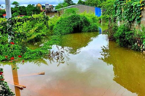 Cần xử lý tình trạng ngập úng ở tổ dân phố 7, 8