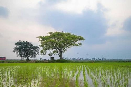 Từ ái: Ngọn lửa sưởi ấm cuộc đời