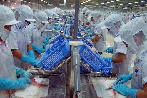 Đồng bằng sông Cửu Long: Đối mặt khó khăn với dịch Covid-19, cả 1.000 doanh nghiệp giải thể