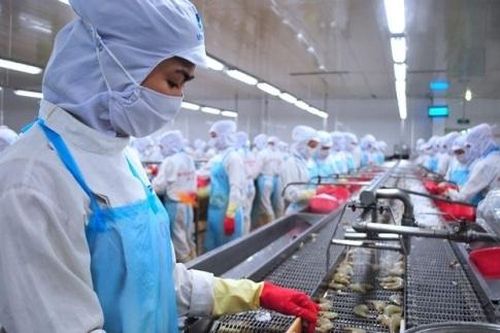 Tăng 10% đơn hàng xuất khẩu thủy sản sang châu Âu