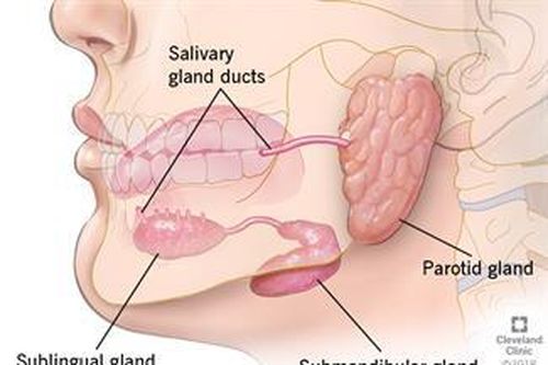 Viêm tuyến nước bọt do răng: Nguyên nhân và giải pháp điều trị