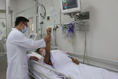 Bệnh nhân bị rắn hổ mang dài 2,5m cắn đã ổn định