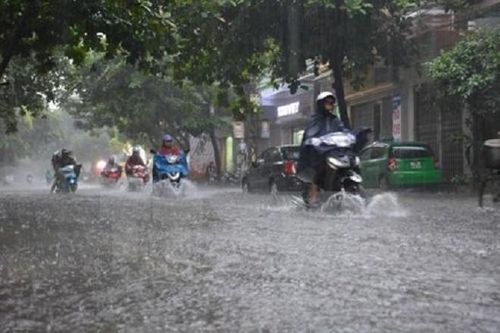 Dự báo thời tiết (20/8): Bão số 4 suy yếu, miền Bắc có mưa rào và dông rải rác