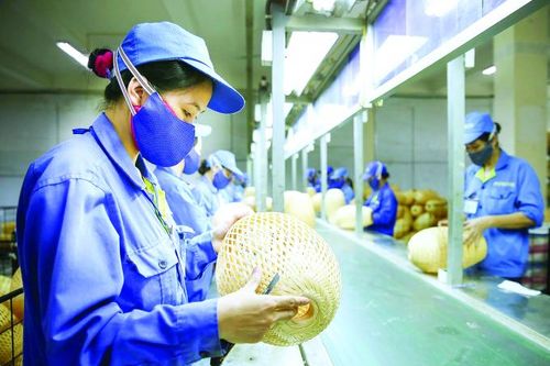 Tạo động lực tăng trưởng mới trước 'bẫy kinh tế Covid-19'