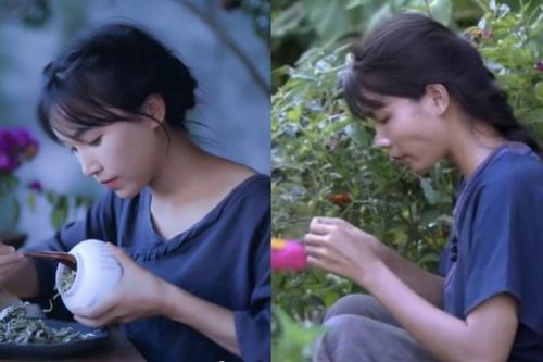 'Bếp trên đỉnh đồi' chính thức lên tiếng sau 1 tháng bị tố đạo nhái ý tưởng