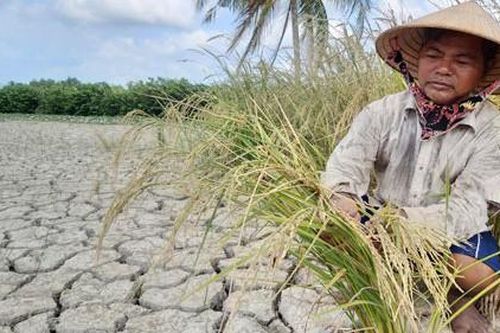 Những nguy cơ đe dọa lưu vực sông Mê Công