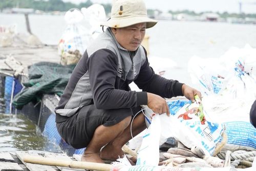Mất hàng tỷ đồng vì cá chết bất thường trên sông Chà Và