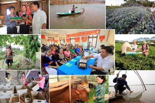 Trà Vinh: Vốn chính sách giúp bà con dân tộc thiểu số thoát nghèo