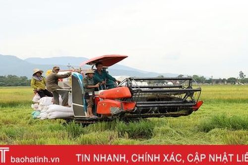 Đồng sạch sâu, đủ nước, nông dân Hà Tĩnh tin vào vụ hè thu thắng lợi toàn diện