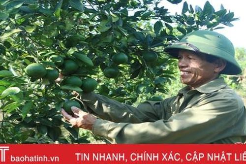 Trưởng thôn nhiệt tình 'mách nước' cho bà con làm kinh tế, xóa đói nghèo