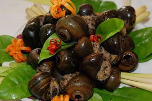 Bài thuốc chữa nhiều căn bệnh thường gặp từ ốc nhồi
